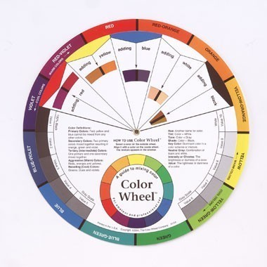 9 1/2" Colour Wheel
